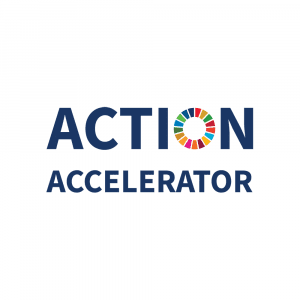 Action Accelerator copy