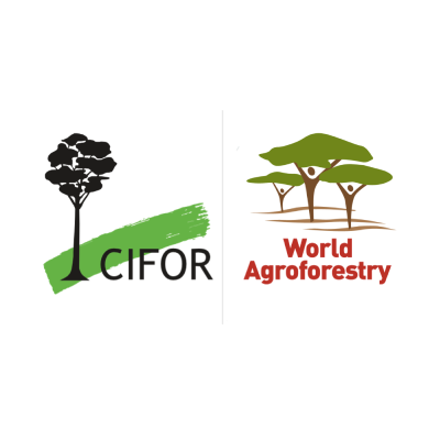 Cifor Icraf The Centre For International Forestry Research And The International Centre For Research In Agroforestry Logo